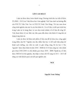 Đặc điểm lâm học và kỹ thuật trồng rừng dẻ ăn hạt Tây Nguyên