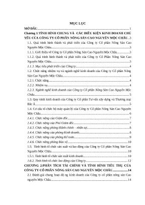 Tổ chức kế toán tiêu thụ và xác định kết quả kinh doanh tại CTCP Nông sản Mộc Châu