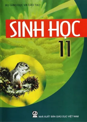 Sách giáo khoa Sinh học 11 - Chuyên đề Hấp thụ nước và ion khoáng