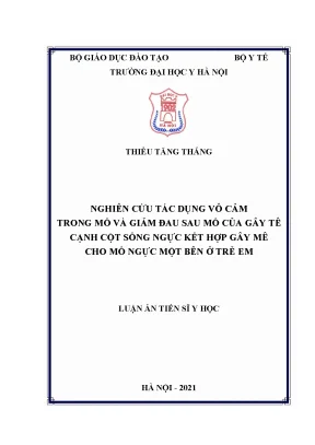 Nghiên cứu tác dụng vô cảm trong mổ và giảm đau sau mổ gây tê cạnh cột sống ngực ở trẻ em