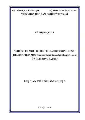 Trồng rừng thâm canh Sa mộc ở Đông Bắc Bộ