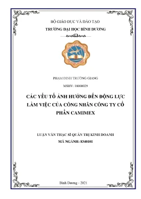 Yếu tố ảnh hưởng đến động lực làm việc của công nhân Camimex