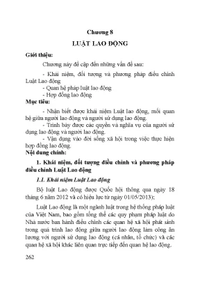 Luật Lao động Việt Nam - Giáo trình pháp luật phần 2