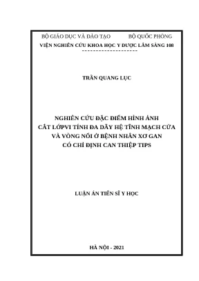 CLVT đa dãy tĩnh mạch cửa và vòng nối ở bệnh nhân xơ gan