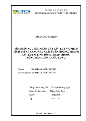 Phân tích nguyên nhân lũ lụt và giải pháp phòng tránh tại Đồng Tháp