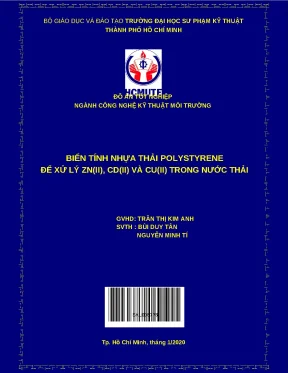 Biến tính polystyrene thải để xử lý Zn(II), Cd(II), Cu(II)