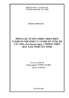 Phân lập tuyển chọn vi khuẩn nội sinh và vùng rễ cây mía (Saccharum spp.)
