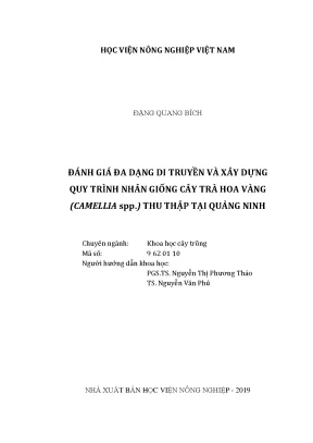 Đánh giá đa dạng di truyền và nhân giống cây Trà hoa vàng Quảng Ninh