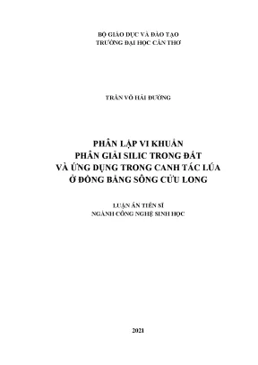 Phân lập vi khuẩn phân giải silic trong đất ứng dụng canh tác lúa