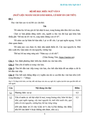 Bộ đề đọc hiểu Ngữ văn 9 có đáp án chi tiết