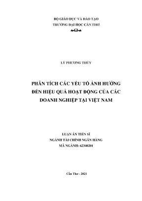 Yếu tố ảnh hưởng hiệu quả hoạt động doanh nghiệp Việt Nam