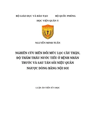 Biến đổi chức năng thận sau tán sỏi niệu quản