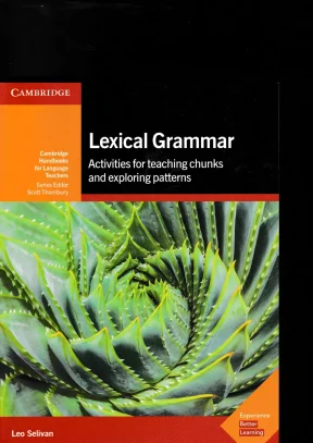 Selivan Leo Lexical Grammar: Giáo trình ngữ pháp theo từ vựng