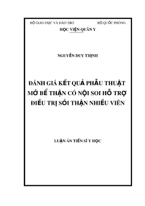 Luận án tiến sĩ ngoại khoa đánh giá kết quả phẫu thuật mở bể thận có nội soi hỗ trợ điều trị sỏi thận nhiều viên