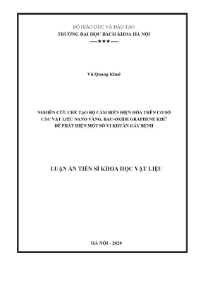 Luận án tiến sĩ nghiên cứu chế tạo bộ cảm biến sinh học điện hóa trên cơ sở các vật liệu nano vàng bạc oxide