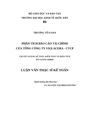 Luận văn thạc sỹ phân tích báo cáo tài chính của tổng công ty viglacera ctcp