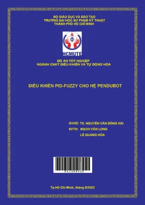 Điều khiển pid fuzzy cho hệ pendubot