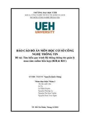 Tìm hiểu quy trình hệ thống thông tin quản lý mua sắm online hỗn hợp b2b b2c