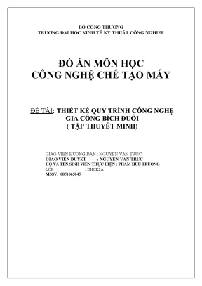 Đồ án công nghệ chế tạo máy thiết kế quy trình công nghệ gia công bích đuôi