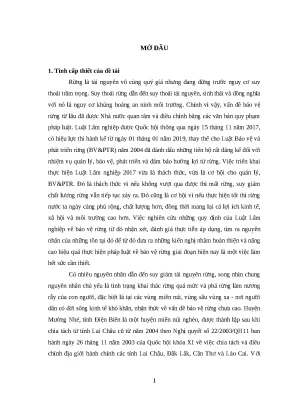 Thực tiễn áp dụng pháp luật bảo vệ rừng: Mường Nhé, Điện Biên