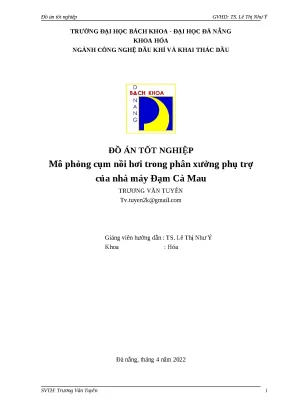 Mô phỏng cụm nồi hơi Nhà máy Đạm Cà Mau Aspen Hysys