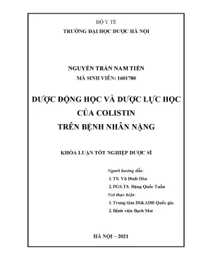 Dược động học và dược lực học colistin trên bệnh nhân nặng