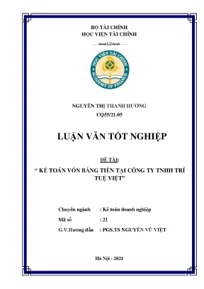 Kế toán vốn bằng tiền tại Công ty TNHH Trí Tuệ Việt