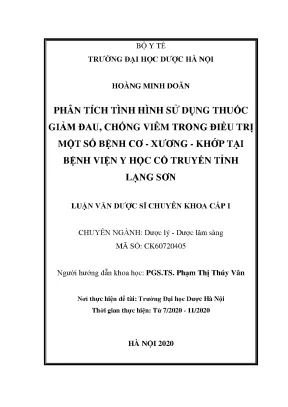 Phân tích sử dụng thuốc giảm đau chống viêm cơ xương khớp Lạng Sơn