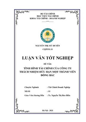 Tình hình tài chính doanh nghiệp TNHH MTV Đông Bắc luận văn tốt nghiệp