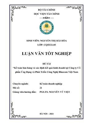 Kế toán bán hàng và xác định kết quả kinh doanh tại Bluecom Việt Nam