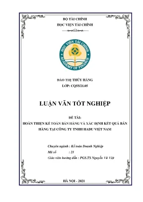 Hoàn thiện kế toán bán hàng xác định kết quả tại Công ty TNHH HADU Việt Nam