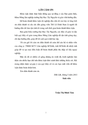 Khóa luận hoàn chỉnh về kỹ thuật trồng chăm sóc Keo lai tại Đắk Lắk