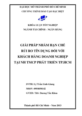 Giải pháp hạn chế rủi ro tín dụng KH doanh nghiệp tại HDBank