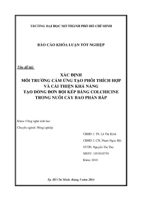 Cải thiện dòng đơn bội kép bắp bằng colchicine trong nuôi cấy bao phấn
