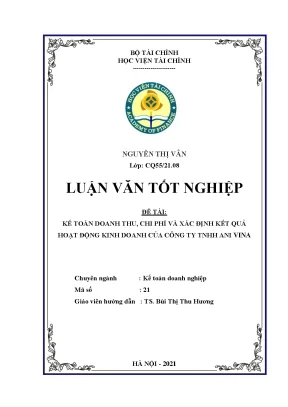 Kế toán DT, Chi phí & KQKD tại Công ty TNHH Ani Vina