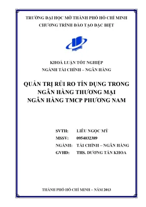 Quản trị rủi ro tín dụng tại Ngân hàng TMCP Phương Nam