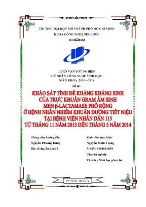 Khảo sát kháng kháng sinh trực khuẩn gram âm ESBL nhiễm khuẩn tiết niệu