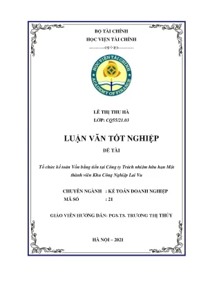 Tổ chức kế toán vốn bằng tiền tại doanh nghiệp KCN Lai Vu
