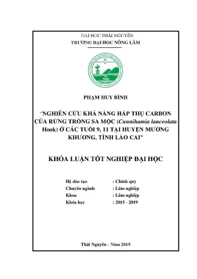 Khả năng hấp thụ carbon rừng sa mộc tại Mường Khương