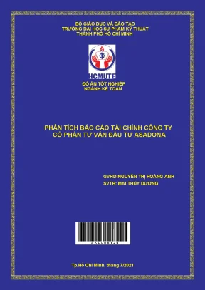 Phân tích báo cáo tài chính Công ty Cổ phần Asadona